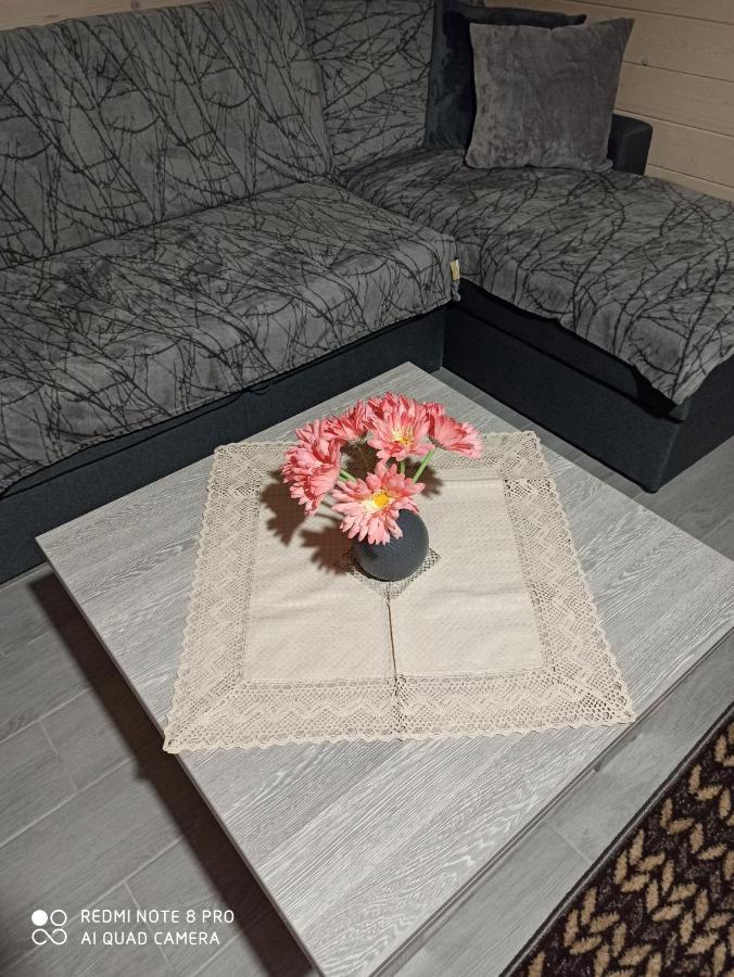 Brand New 2020 Specious Apartment Druzi 2 Poljanicja Kültér fotó